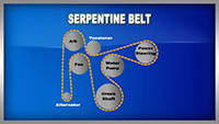 Serpentine_Belt_VT_S